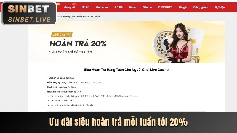 Ưu đãi VIP casino 66ff bet